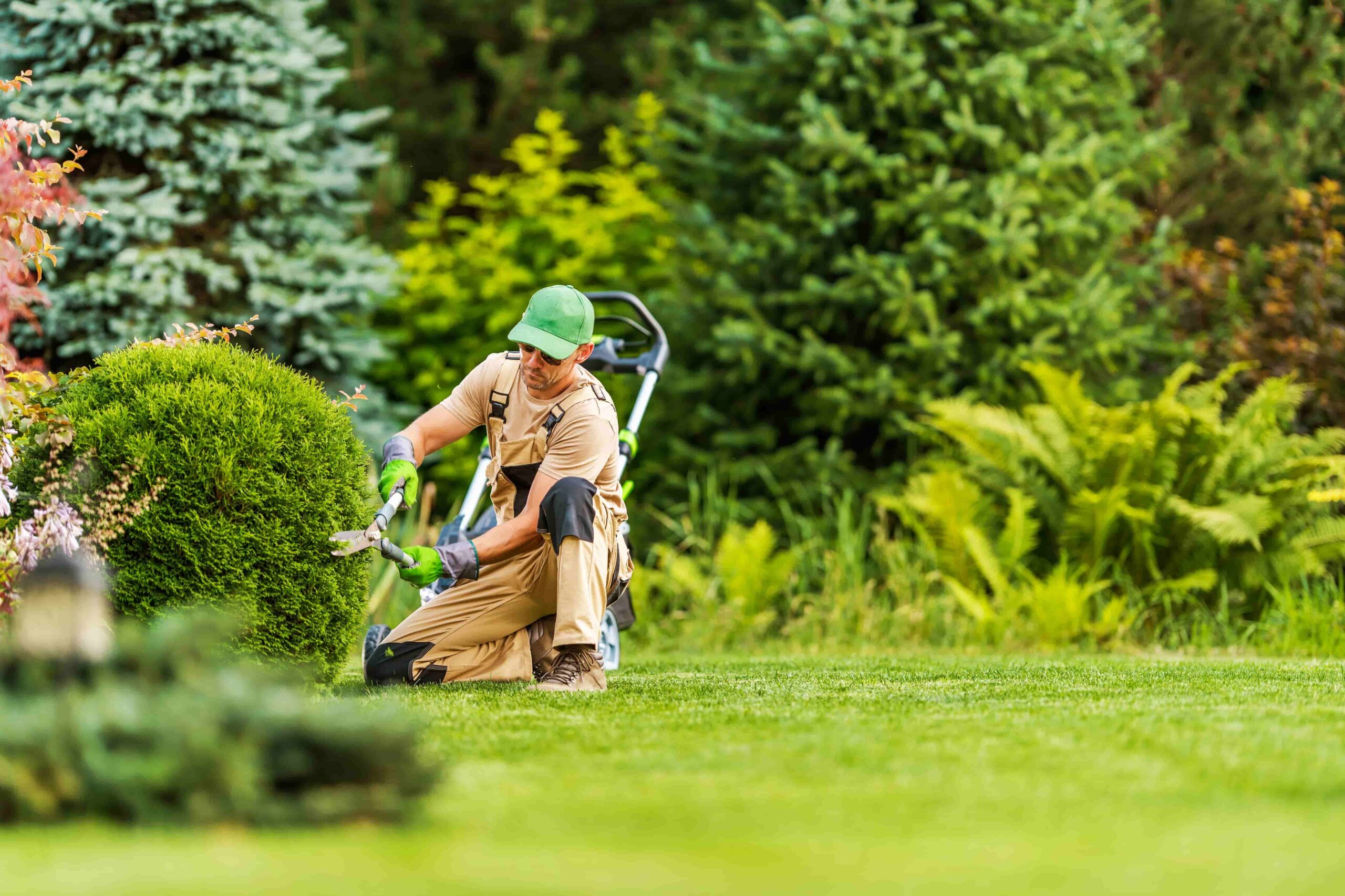 Affordable Landscaping Services