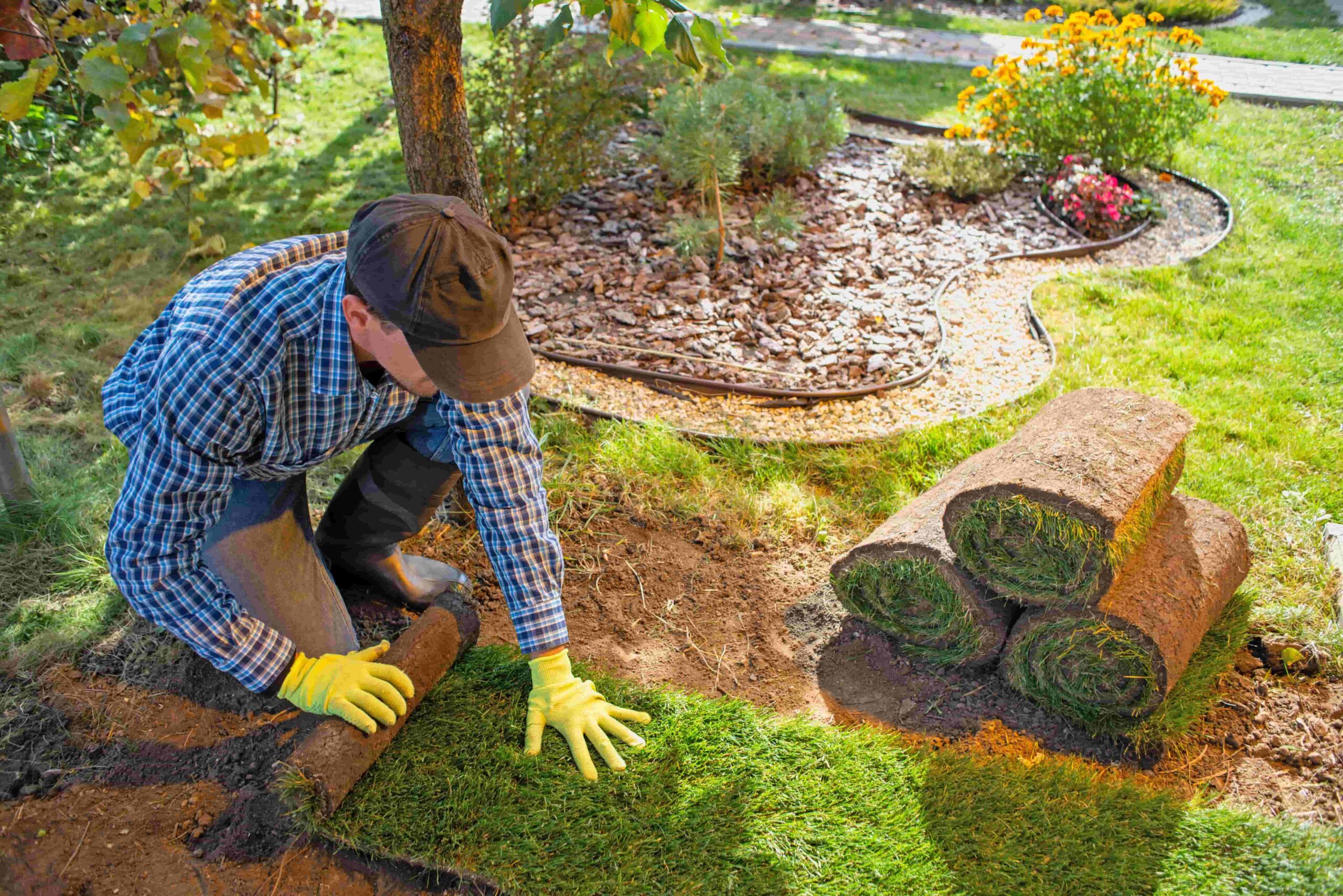 Landscaping services