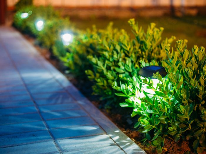 Landscape Lighting