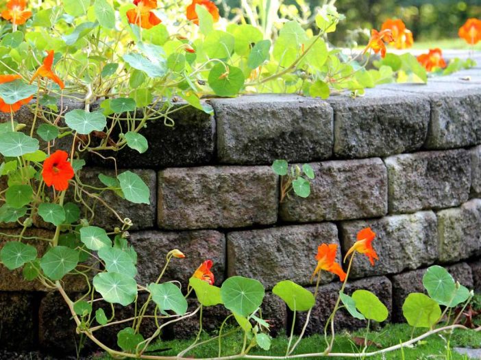 Retaining Walls