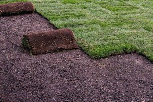 Sod installation